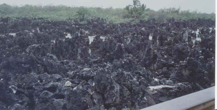 1995 Grand Cayman