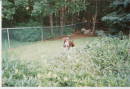  1996 Original House
