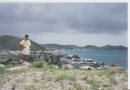 1997 St. Martin
